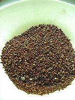 motherwort seed