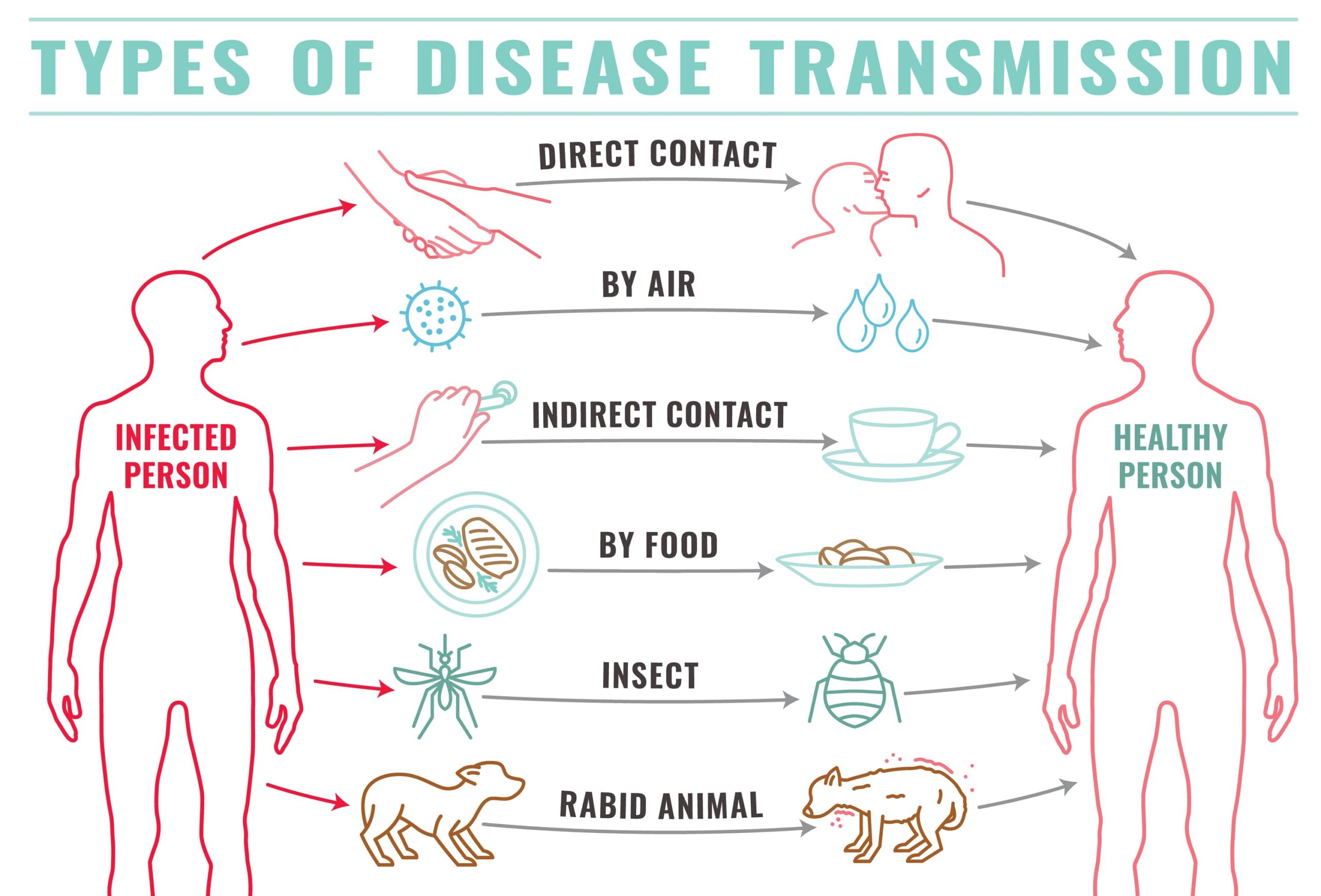 disease transmission types