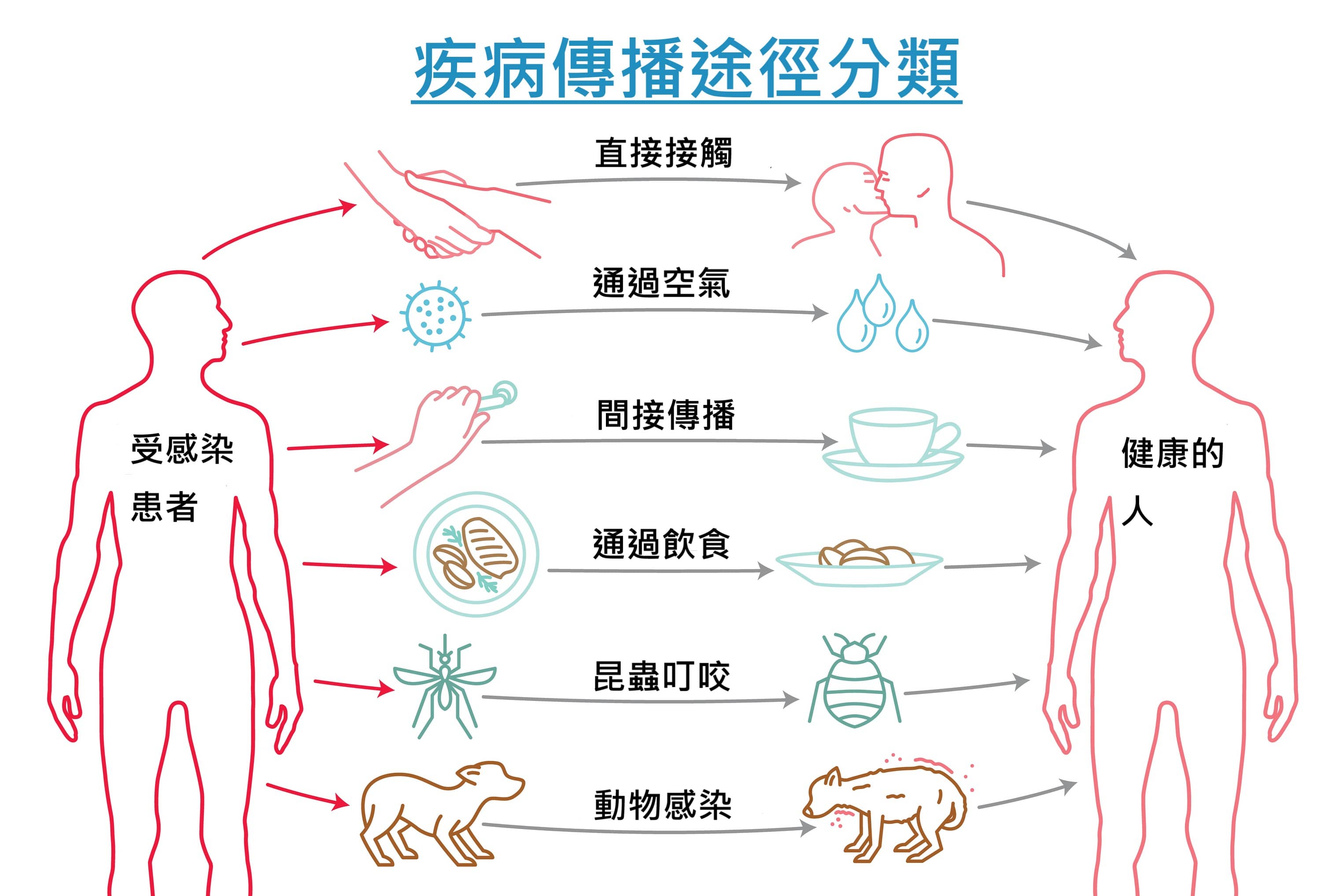 疾病傳播途徑分類